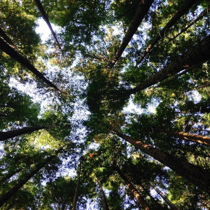 National parks landscape